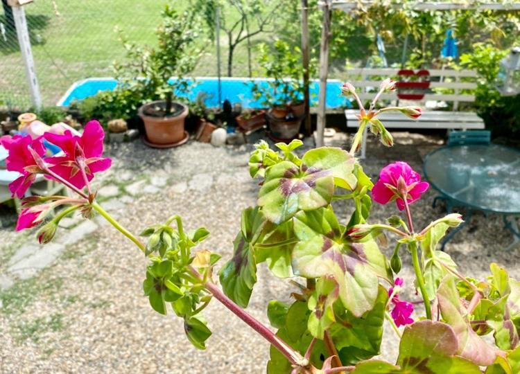 Bed and Breakfast Oca Carolina Buttigliera Alta Exterior foto
